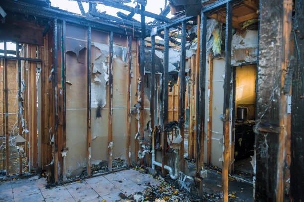 Professional Fire Damage Repair technician working in Great Neck Plaza, NY
